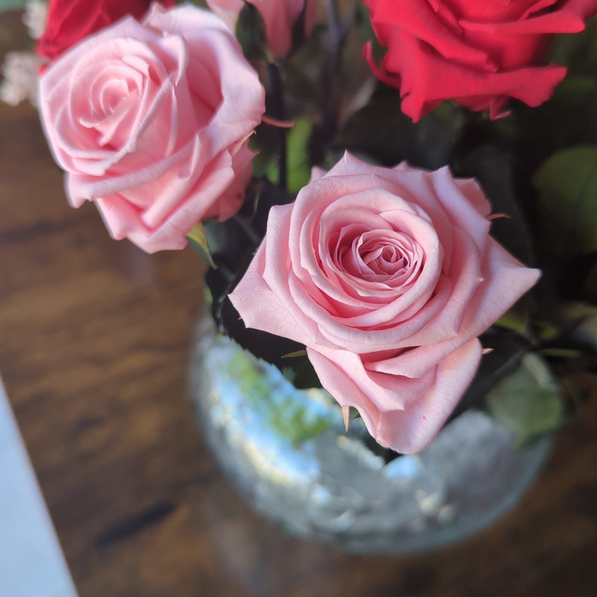 Roses à la tige 30 cm
