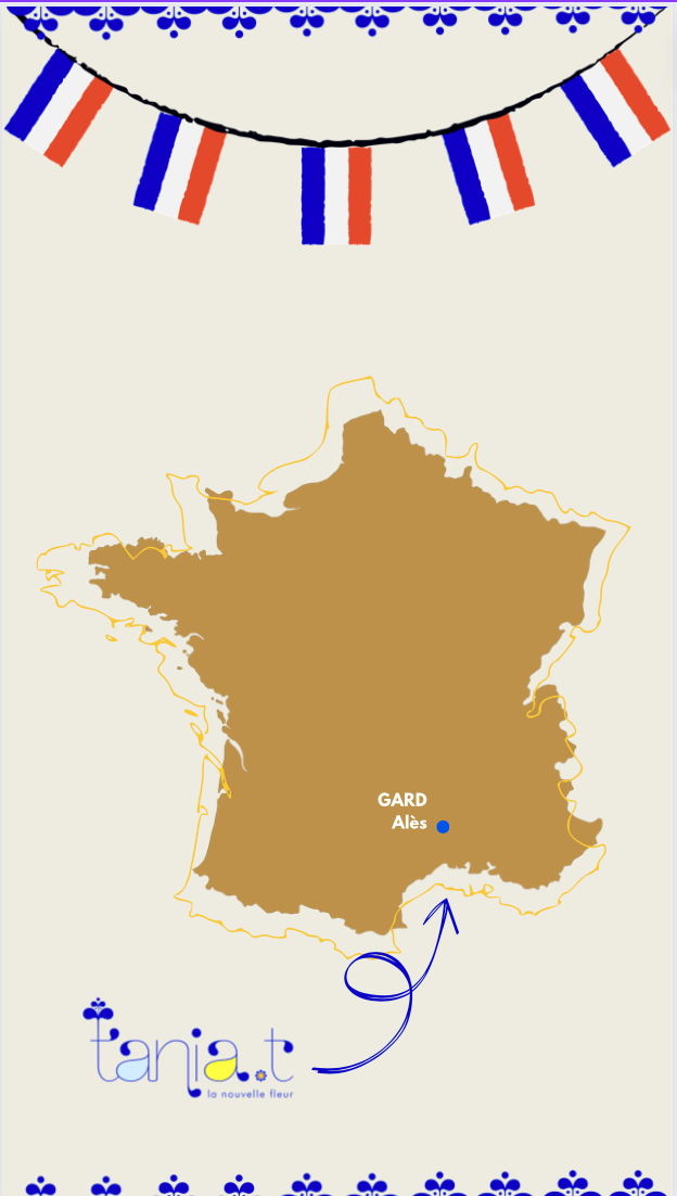 Design carte France avec localisation Ales