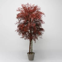 Plante décorative en eucalyptus Nicoly rouge stabilisé – vibrante et durable.