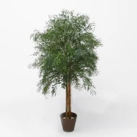 Élégance et longévité avec cette plante d'eucalyptus Nicoly stabilisée.